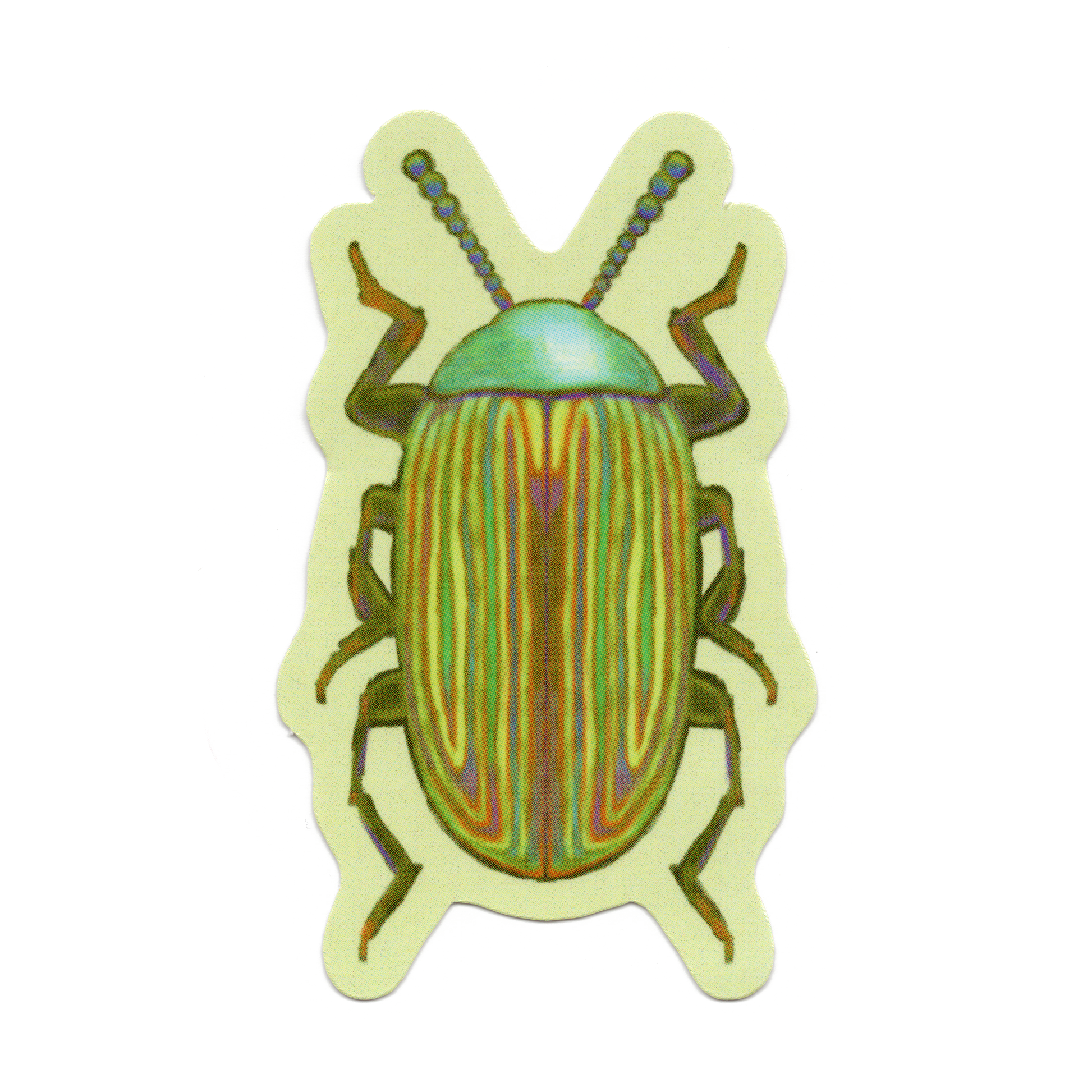 RAINBOW BEETLE! Sticker-1