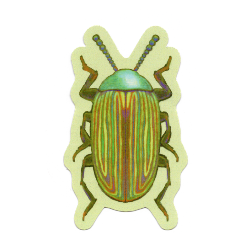 RAINBOW BEETLE! Sticker-zoom-
