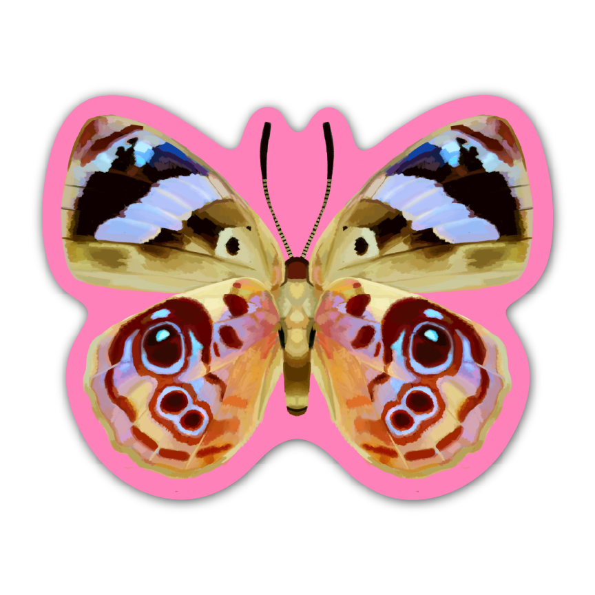 PINK BUTTERFLY! Sticker-1