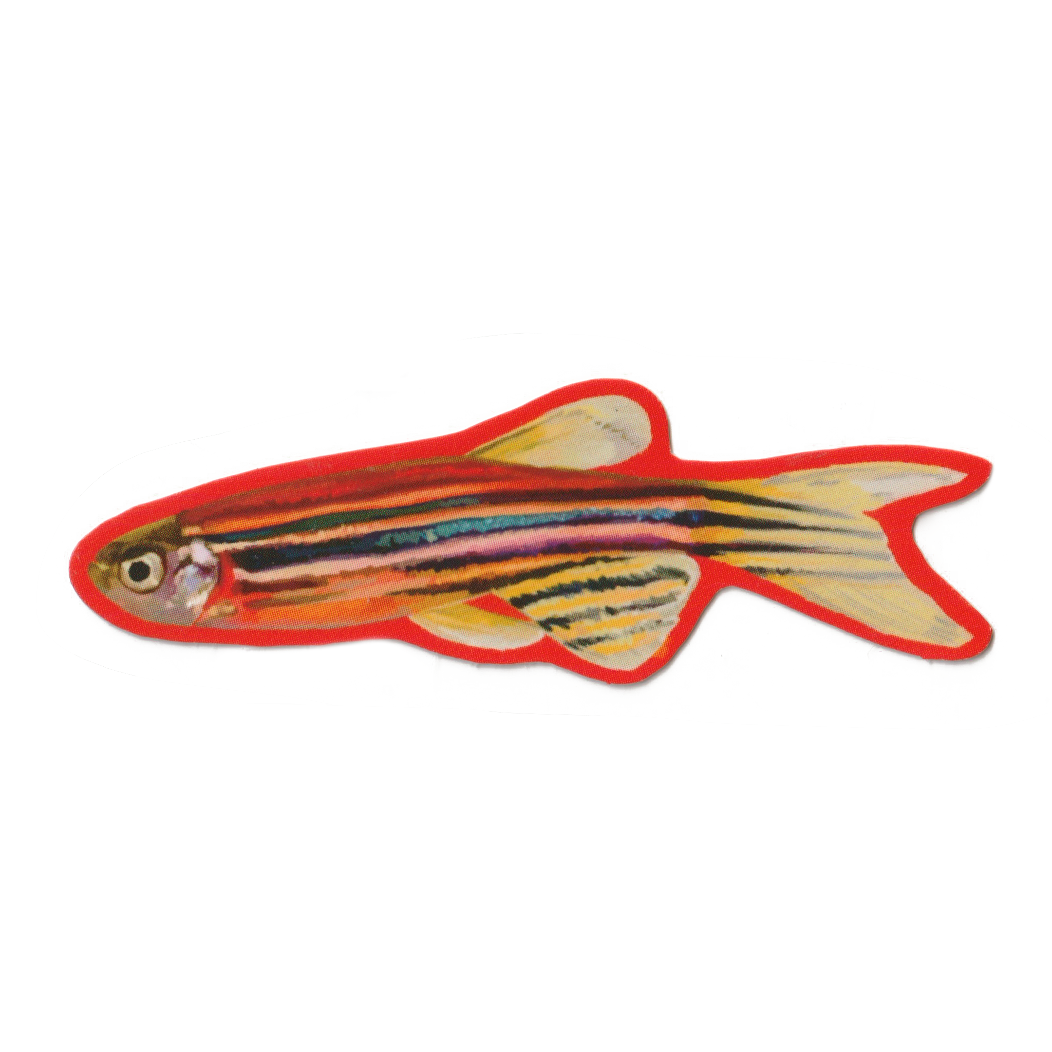 RED PHISH! Sticker