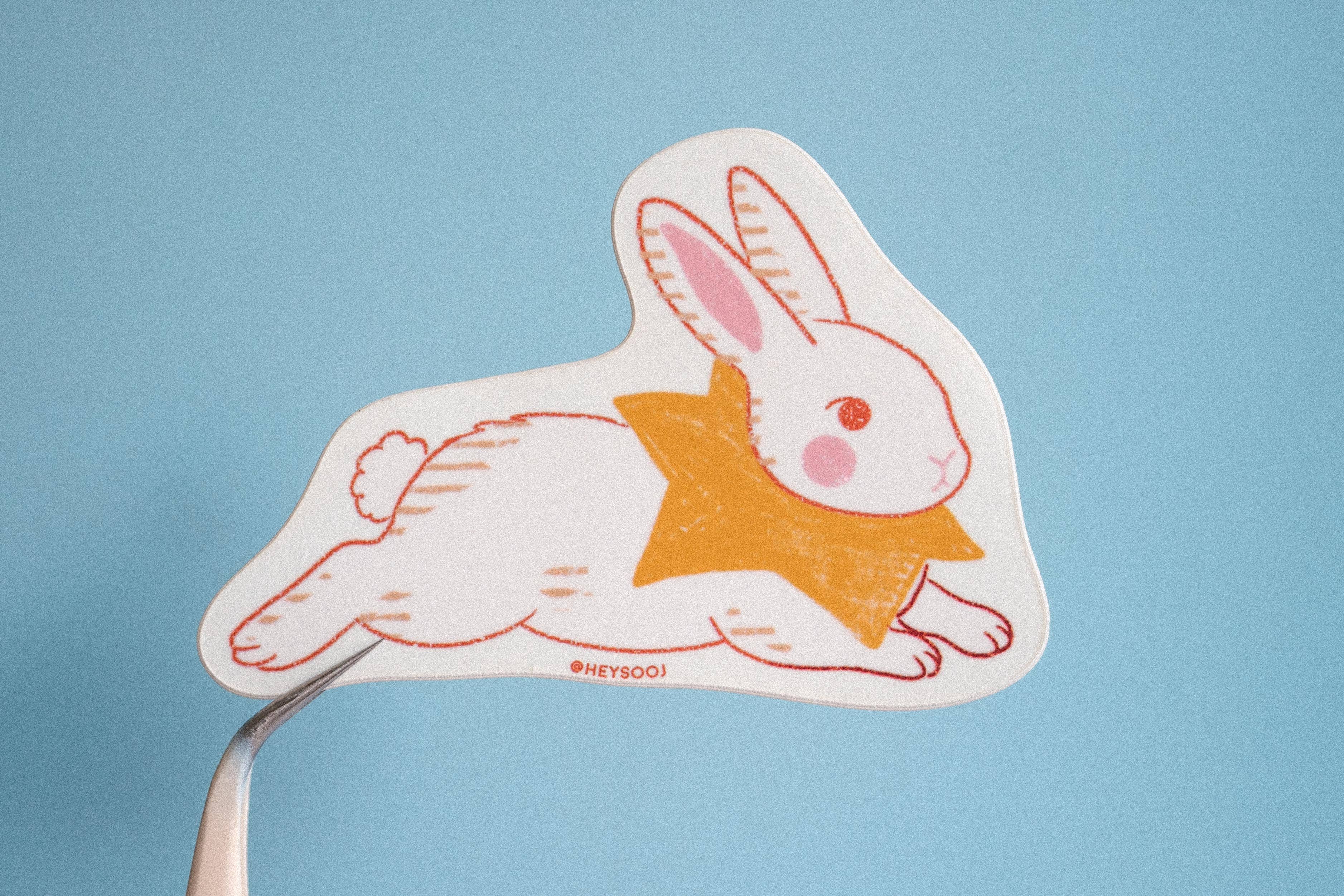 Star Bun Sticker