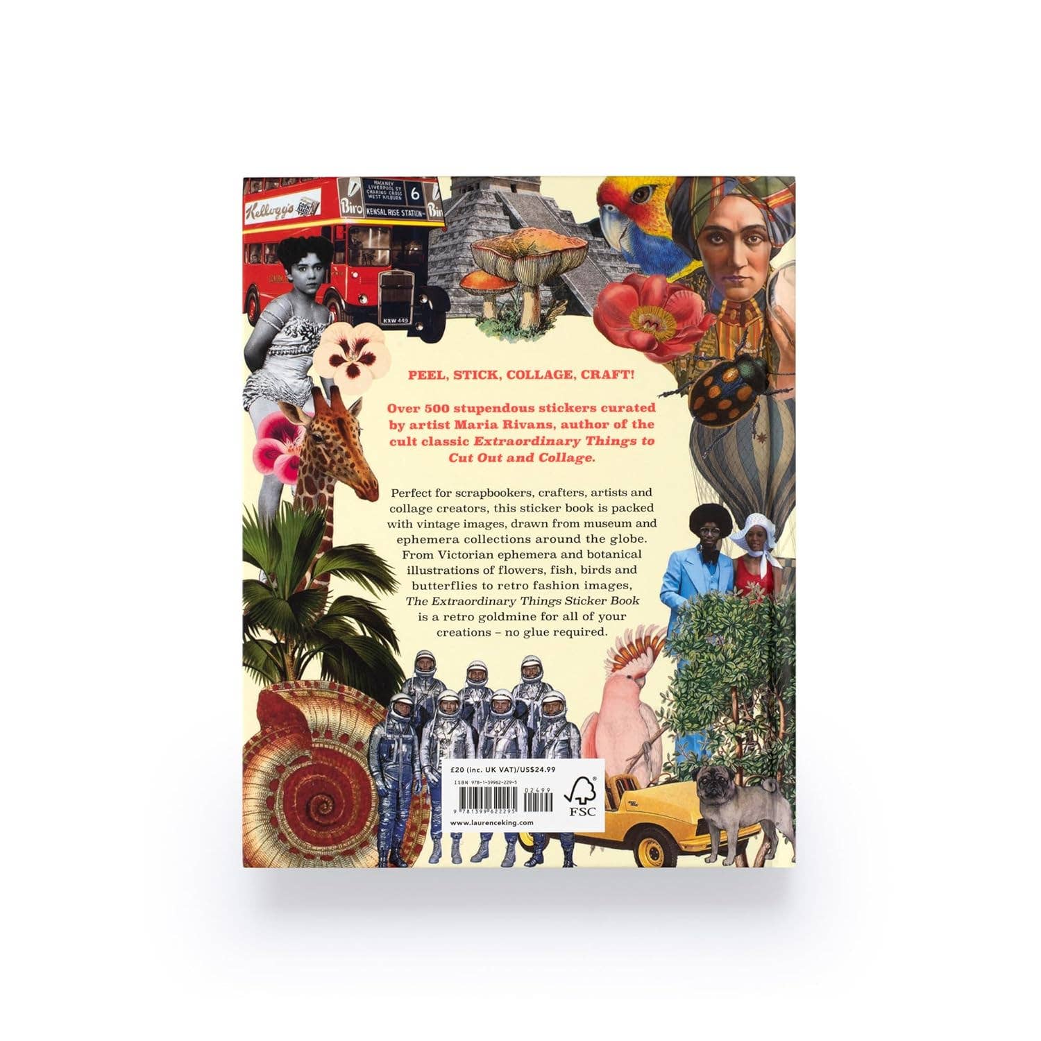 Extraordinary Things Sticker Book-4