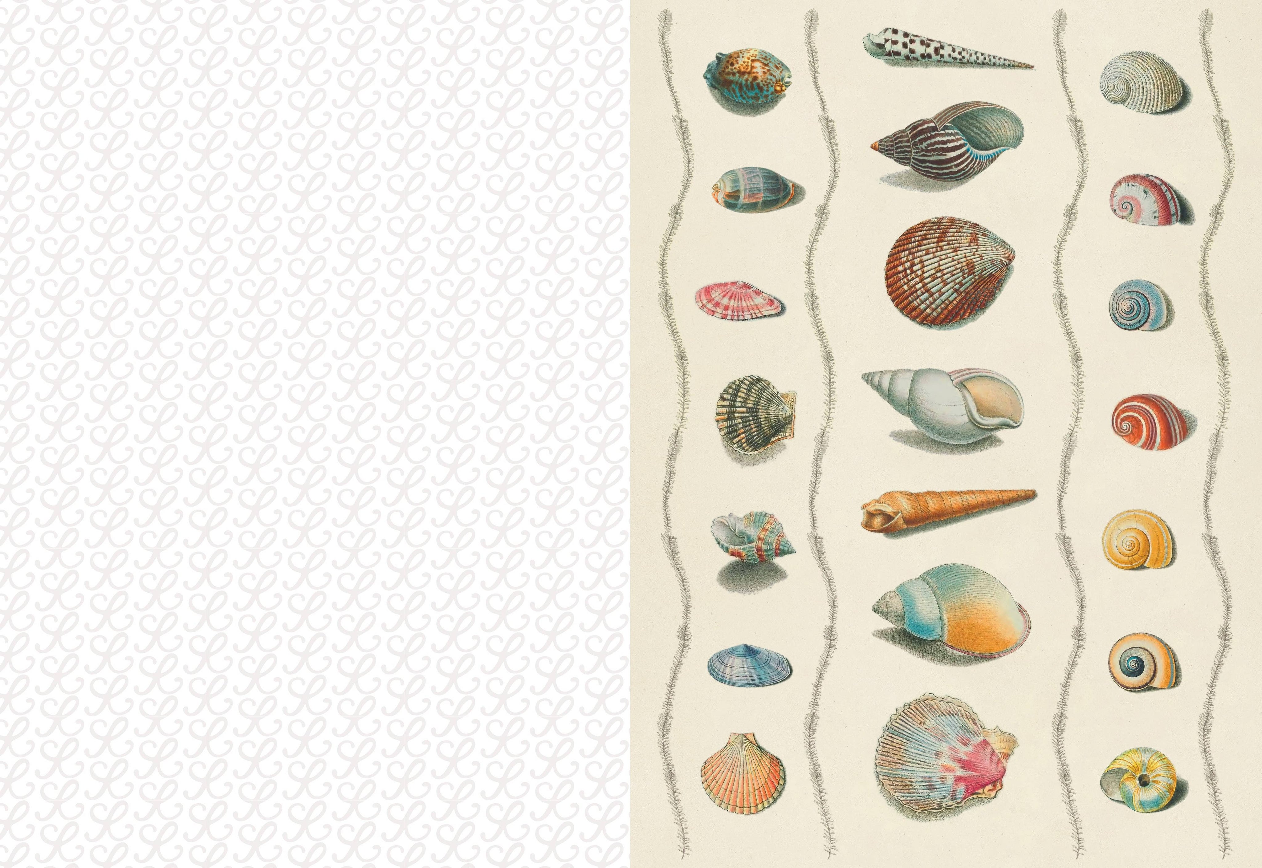 Collage Compendium-zoom-9