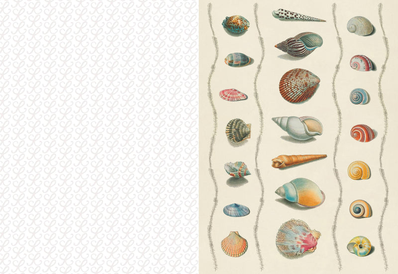Collage Compendium-zoom-