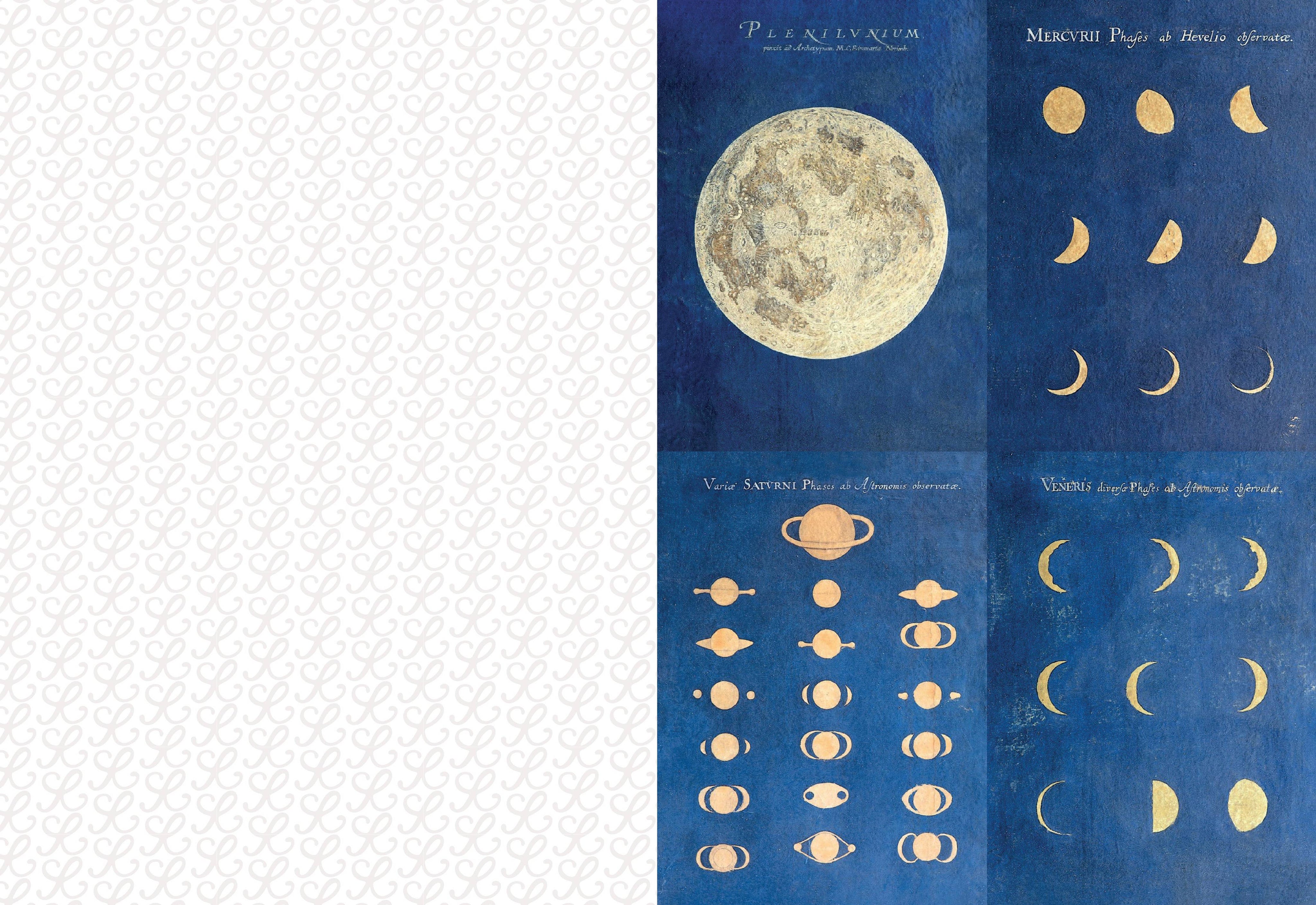 Collage Compendium-zoom-8
