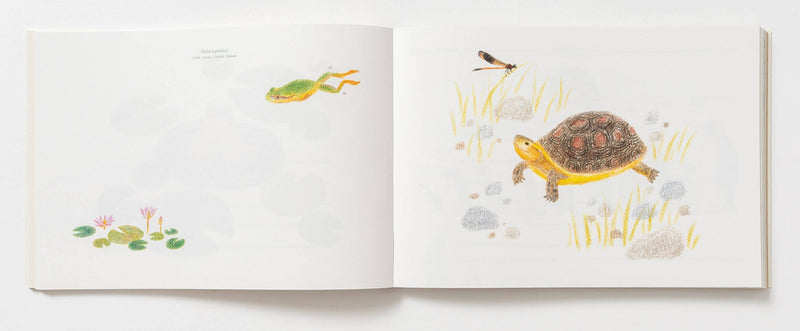 100 Writing & Crafting Papers - Animals-zoom-