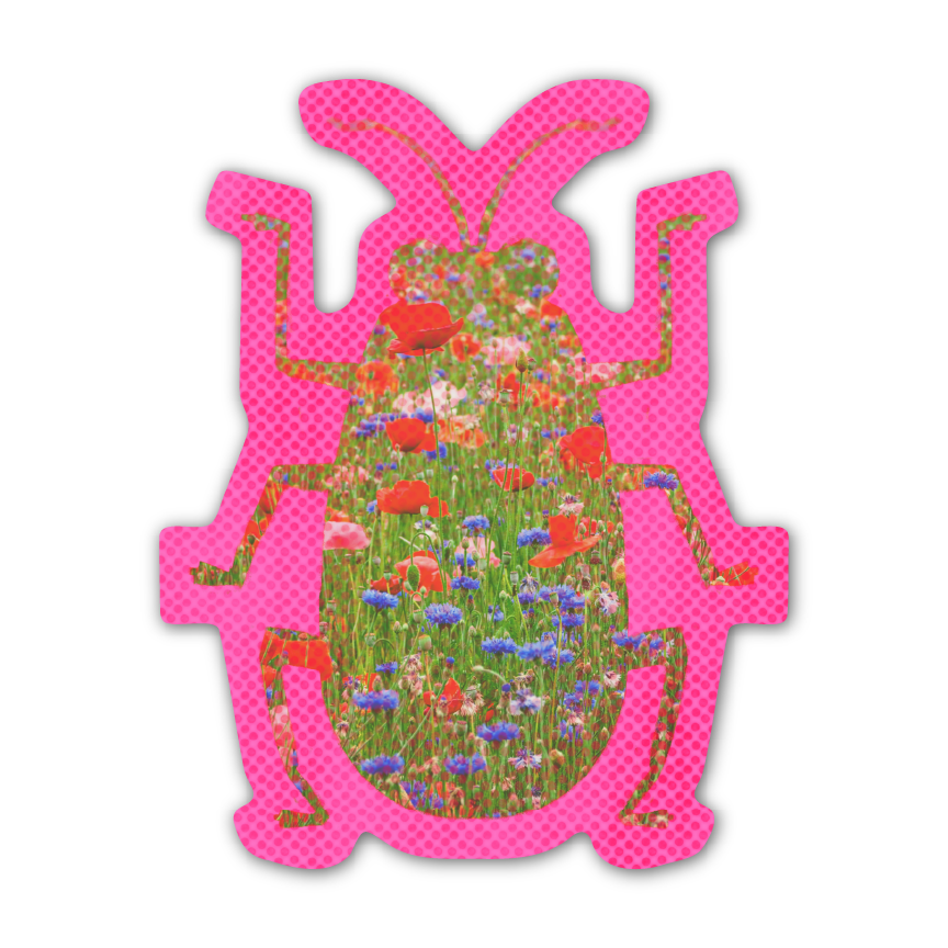 FLOWER BEETLE! Sticker-zoom-1