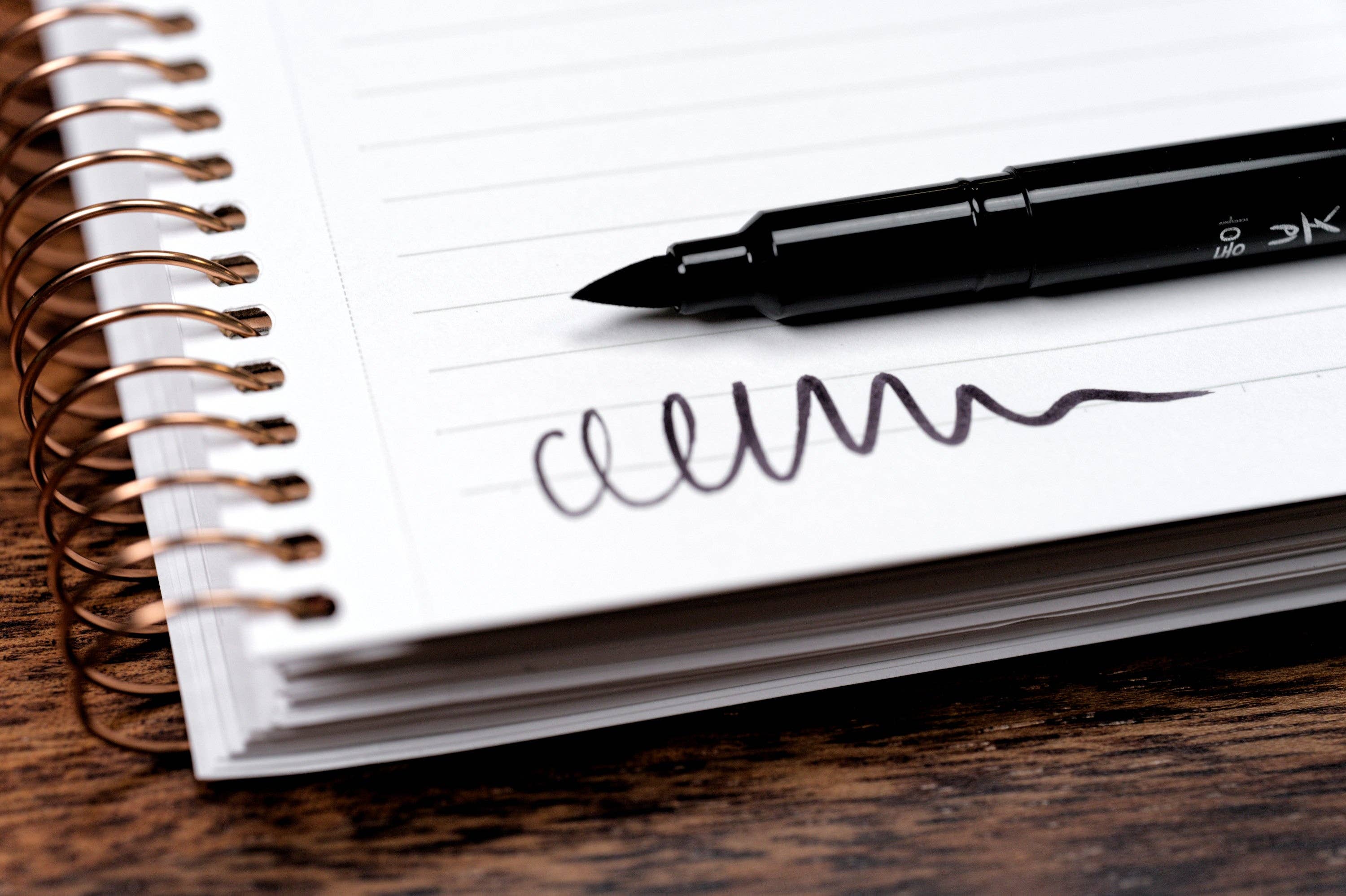 "Callipen" Bold Brush Pen-zoom-3
