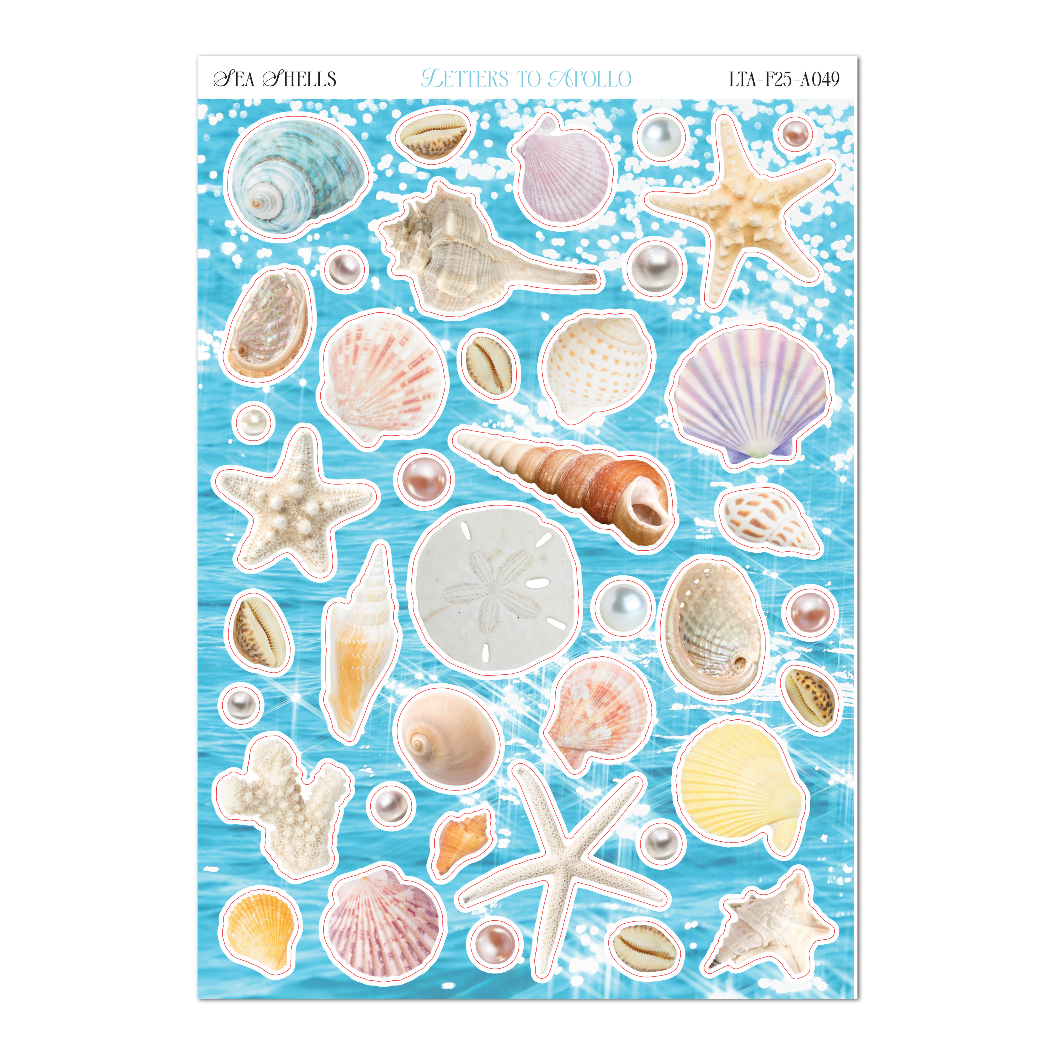 SEA SHELLS