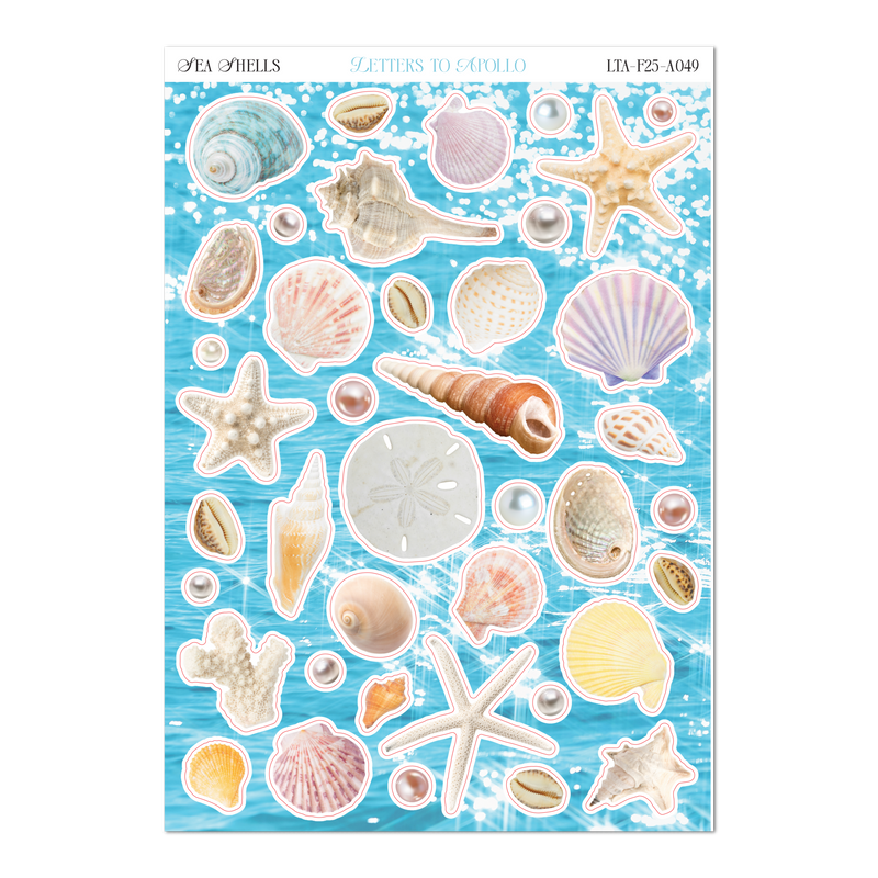 SEA SHELLS-zoom-