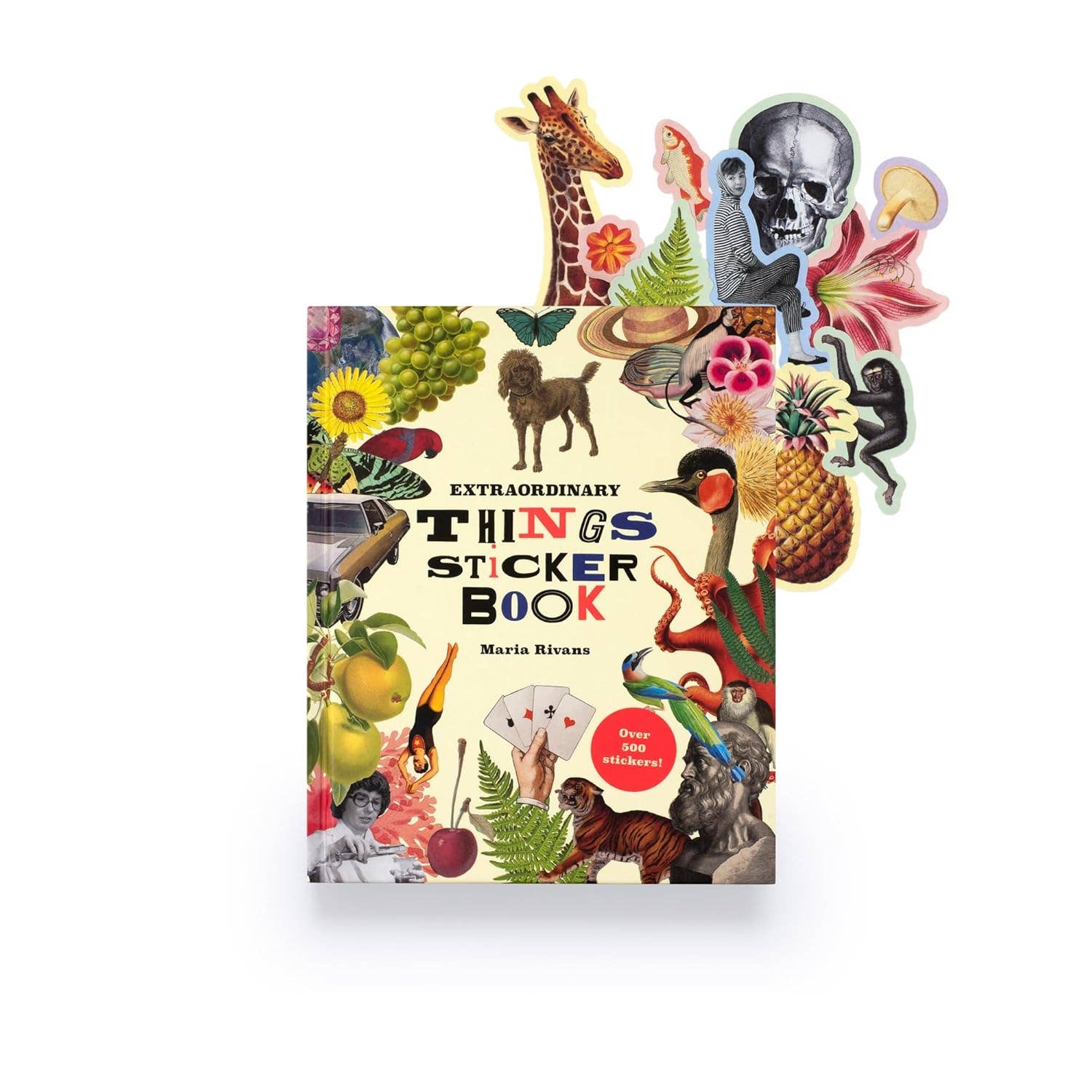 Extraordinary Things Sticker Book-3
