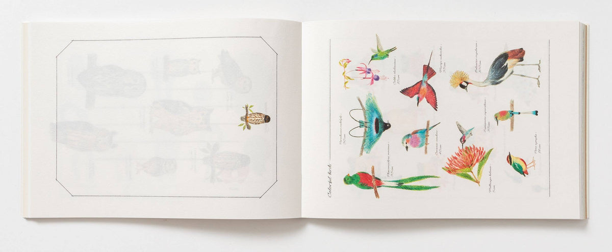 100 Writing & Crafting Papers - Animals-zoom-5