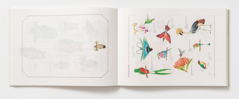 100 Writing & Crafting Papers - Animals-zoom-