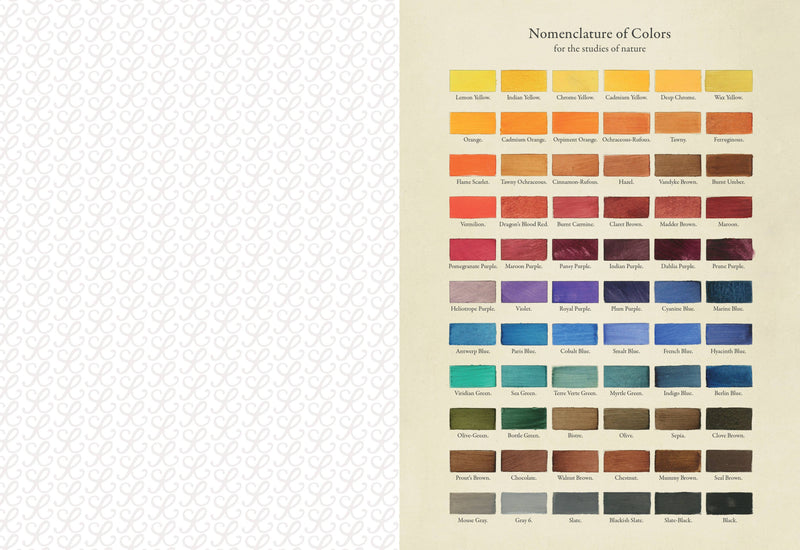 Collage Compendium-zoom-