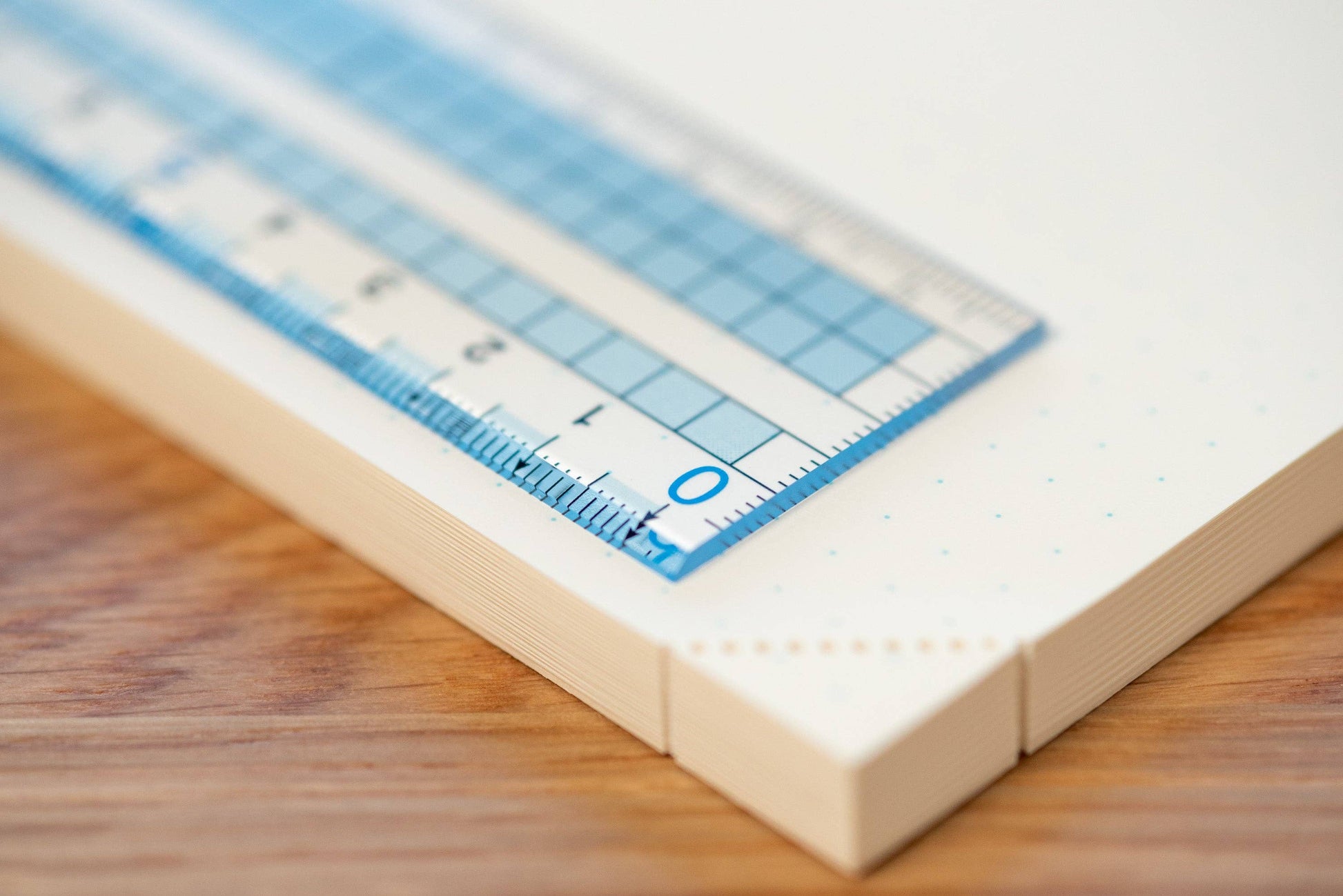 Raymay Grid Ruler, 30 cm-4