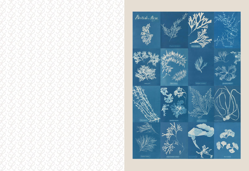 Collage Compendium-zoom-