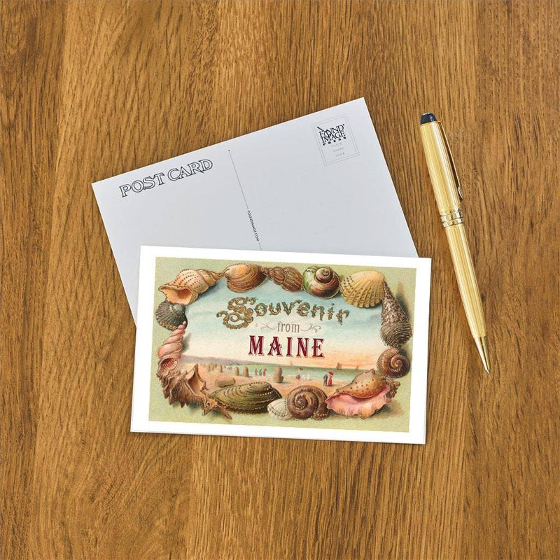 Souvenir from Maine Shells Postcard-zoom-