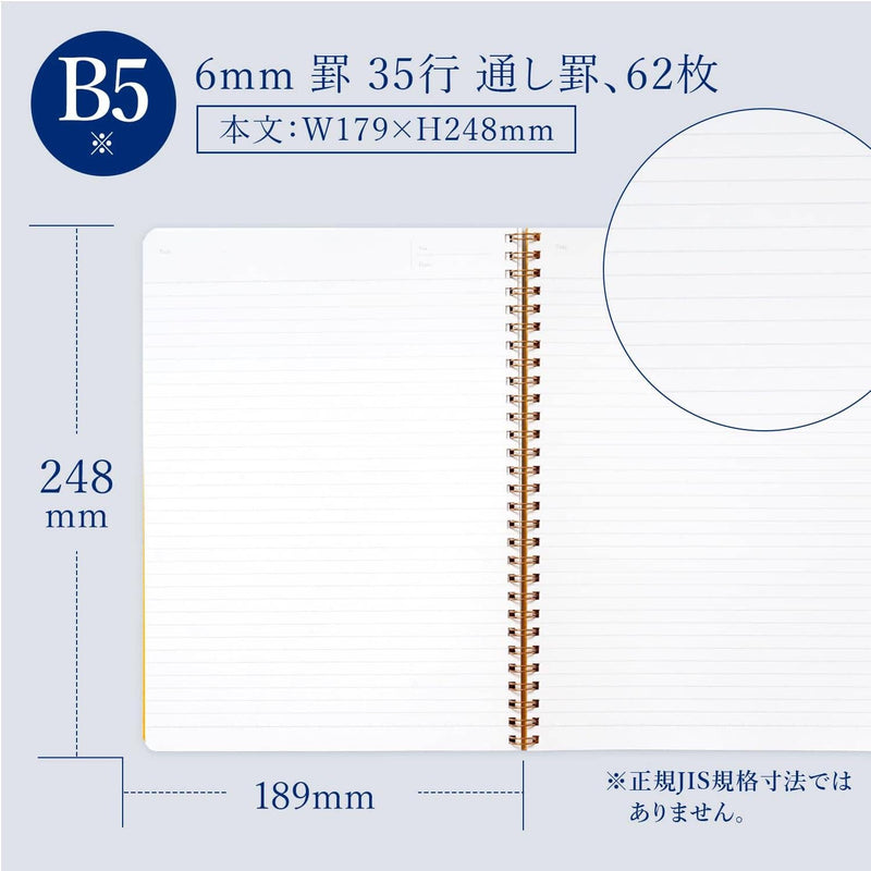 ROYAL COLLEGE B5 LINE 6MM 62 SHEETS (PT102)-zoom-