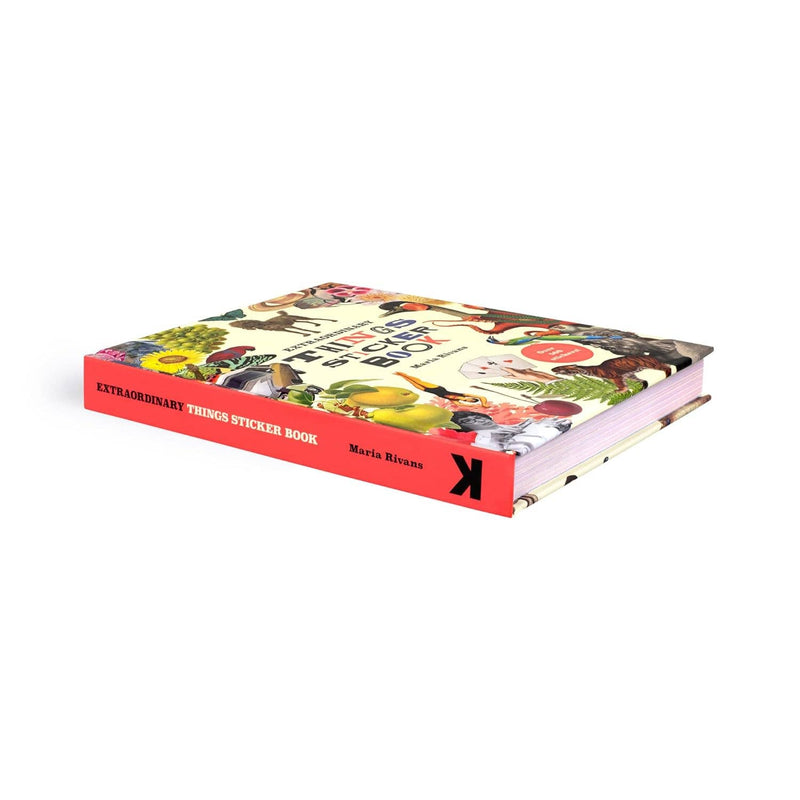 Extraordinary Things Sticker Book-zoom-