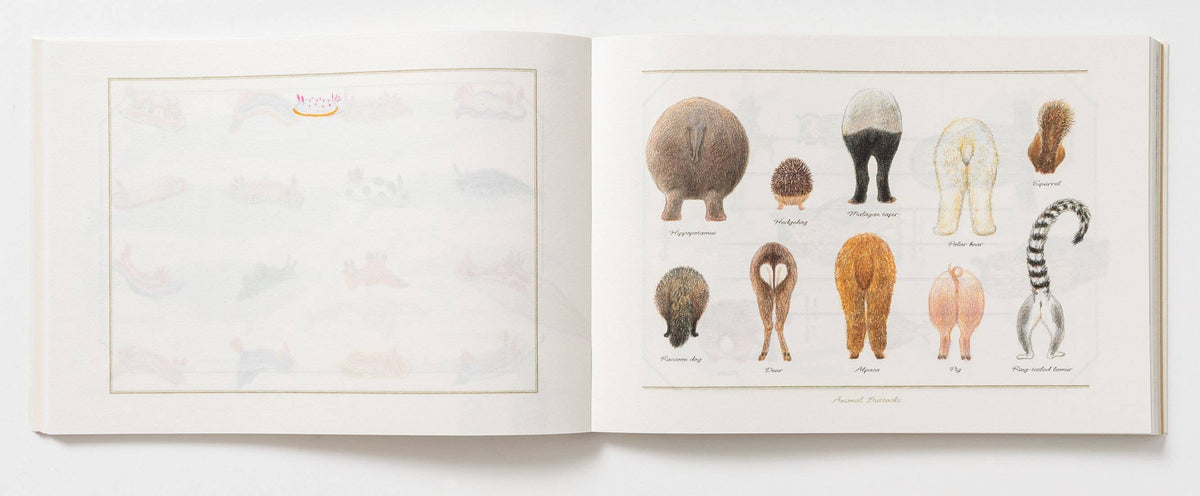 100 Writing & Crafting Papers - Animals-4